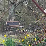 Hummergrund Seepferd