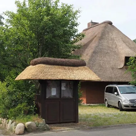 Hummergrund Seepferd Daire