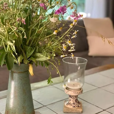 Hummergrund Seepferd Daire Sankt Peter-Ording