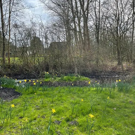 Daire Hummergrund Seepferd *