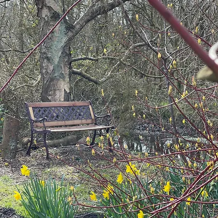 Hummergrund Seepferd